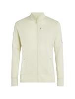 Icebreaker 260 Quantum IV LS Zip Vest Heren Ashen L