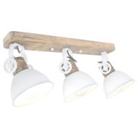 Steinhauer PlafondspotGearwood - 2133W