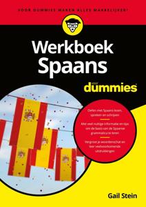 Werkboek Spaans voor Dummies - Gail Stein - ebook