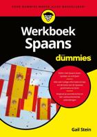 Werkboek Spaans voor Dummies - Gail Stein - ebook