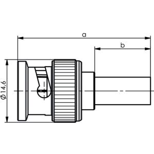 Telegärtner J01002A0091 100023493 BNC-connector Stekker, recht 75 Ω 1 stuk(s)