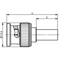 Telegärtner J01002A0091 100023493 BNC-connector Stekker, recht 75 Ω 1 stuk(s)