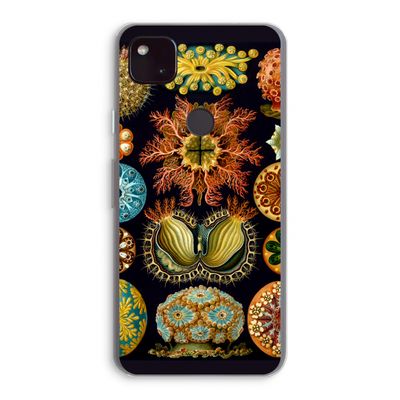 Haeckel Ascidiae: Google Pixel 4a 5G Transparant Hoesje