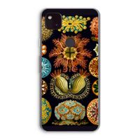 Haeckel Ascidiae: Google Pixel 4a 5G Transparant Hoesje
