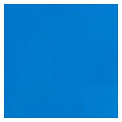 Bruynzeel Ecola plakkaatverf fles 16ml lichtblauw 501