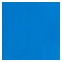 Bruynzeel Ecola plakkaatverf fles 16ml lichtblauw 501