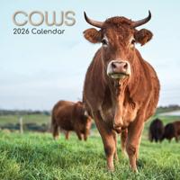 Koeien Kalender 2026