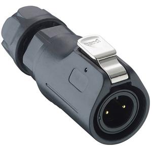 Lumberg 0250 08 Ronde connector Stekker, recht Totaal aantal polen: 8 1 stuk(s)