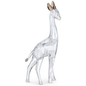 Swarovski 5557858 Ornament African Sunset Giraffe Nohea