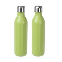 2x stuks RVS thermosflessen / isoleerflessen voor onderweg 500 ml appeltjesgroen