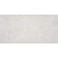 Indeed Ash 60x120 rett