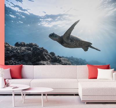 Onderwater schildpad dier fotobehang