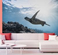 Onderwater schildpad dier fotobehang