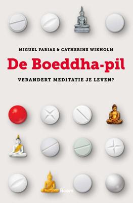 De Boeddha-pil (Paperback)
