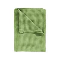 Heckett Lane Wafel Plaid - Apple Green Heckett Lane Wafel Plaid - Apple Green