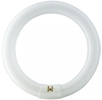 Philips Ronde TL 32W/840 TLE Coolwhite Philips 5900612