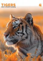 Tijger A3 Kalender 2026 Tijger A3 Kalender 2026