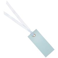 Cadeaulabels met lintje - set 12x stuks - licht blauw - 3 x 7 cm - naam tags