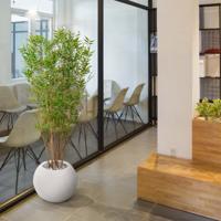 Oriental Bamboe kunstboom 160cm