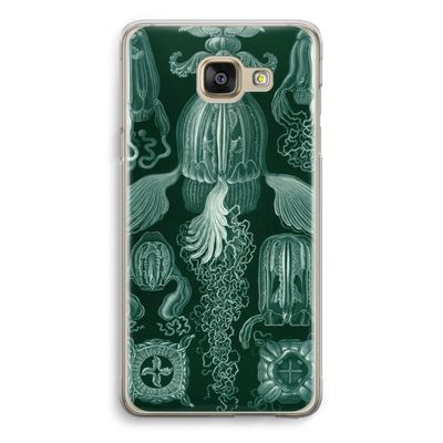 Haeckel Cubomedusae: Samsung Galaxy A5 (2016) Transparant Hoesje