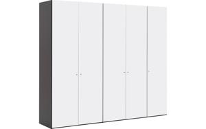 Goossens Kledingkast Easy Storage Ddk, Kledingkast 253 cm breed, 220 cm hoog, 5x glas draaideur