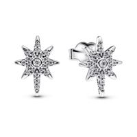 Dames oorbellen Pandora 293587C01 Zilverkleurig