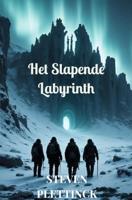 Het slapende labyrinth - Steven Plettinck - ebook