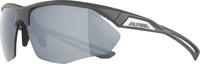 Alpina nylos hr - sports glasses
