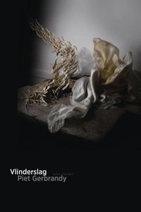 Vlinderslag - Piet Gerbrandy - ebook