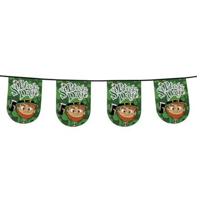 Boland Vlaggenlijn St Patricks day - 6 meter - groen - polyester - vlaggentjes - versiering