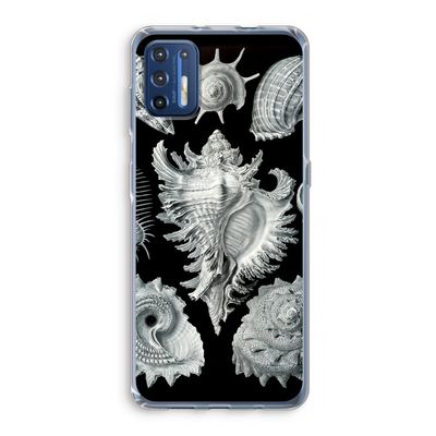 Haeckel Prosobranchia: Motorola Moto G9 Plus Transparant Hoesje