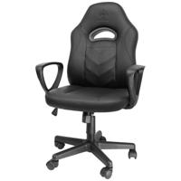 DELTACO GAMING DC110 Gaming stoel Zwart