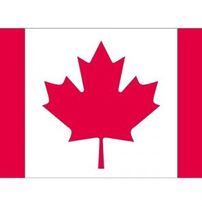 20x Stickertjes Canada vlag 10 cm   -