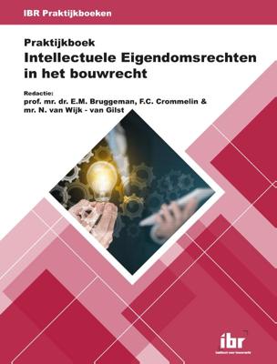 Praktijkboek Intellectuele Eigendomsrechten in het bouwrecht (Paperback)