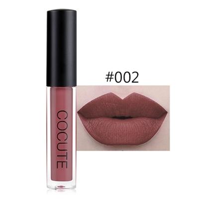 Matte waterdichte make-up lip gloss vloeibare lip stick langdurige lipgloss (2)