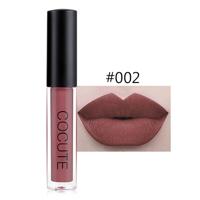 Matte waterdichte make-up lip gloss vloeibare lip stick langdurige lipgloss (2)