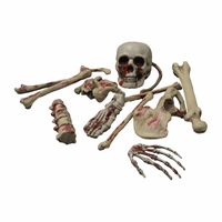 Horror thema decoratie skelet botten met bloed   -