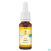 Bachbloesem Bio N°19 Larch 20ml