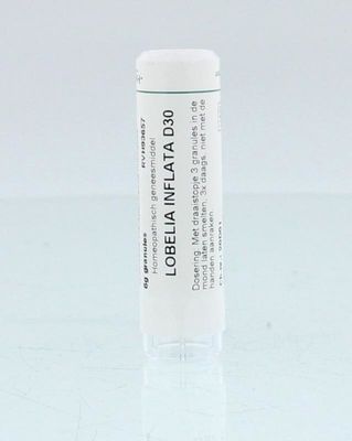 Lobelia inflata D30
