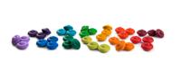 Grapat Regenboog Bloemen - 36 stuks (12 kleuren)
