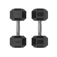 Hexa Dumbbells - Focus Fitness - 2 x 12 kg