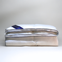 Dekbed 3D Air Dons 4 Seizoenen 260x220 Cm Warmteklasse 2 Winter & Warmteklasse 4 Zomer & Anti Allergie & Anti Huisstofmijt Cloud Nine -