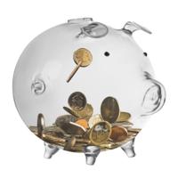 Ruhhy Spaarvarken spaarpot - glas - transparant - sparen - H12 x H18 cm