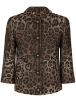 Dolce & Gabbana veste à motif léopard - Marron