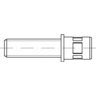 TOOLCRAFT TO-5444214 Open popnagel M5 Staal 150 stuk(s)