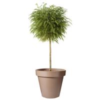 Pro Garden Bloempot - mokka bruin - rond - D50 cm - kunststof - plantenpot - tuin buiten