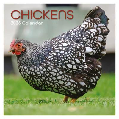 Kippen 16 Maanden Kalender 2026