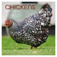 Kippen 16 Maanden Kalender 2026