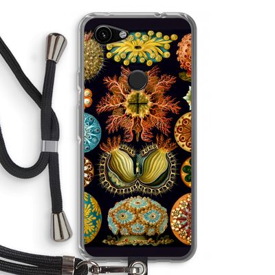 Haeckel Ascidiae: Pixel 3a Transparant Hoesje met koord
