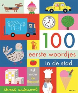 100 eerste woordjes in de stad (Hardback)